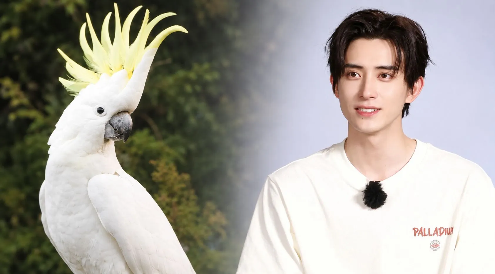 My Imperial Bestiary: 10 Quirky Animals Inspired by C-Drama Actors