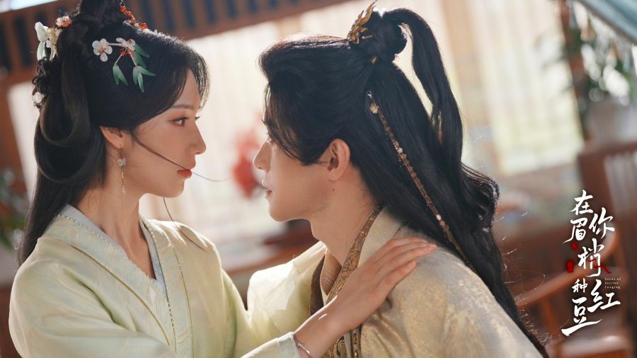 Seeds of Scarlet Longing Drama Review - Qin Zhao Hua and Shen Yu Heng