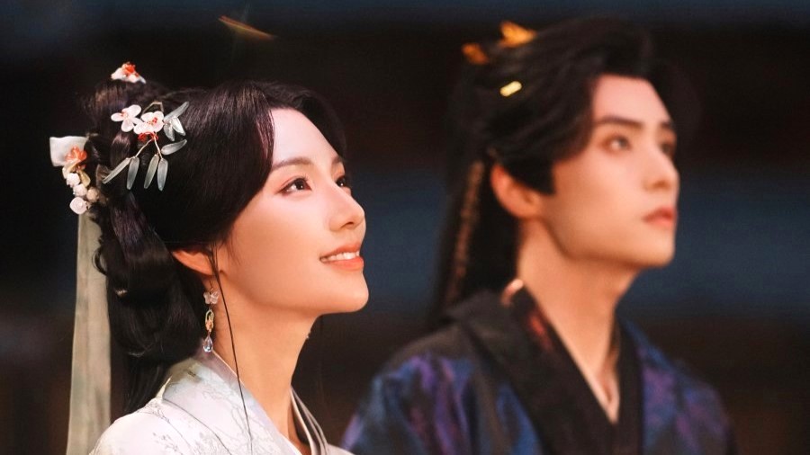 Seeds of Scarlet Longing Drama Review - Qin Zhao Hua and Shen Yu Heng